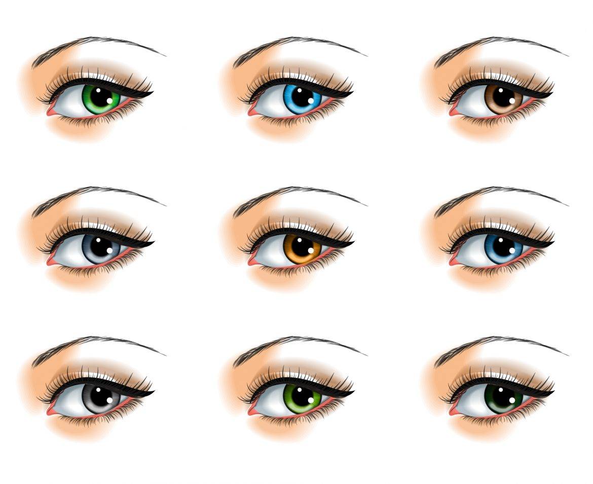 Find the Right Lashes for your Eye Shape
